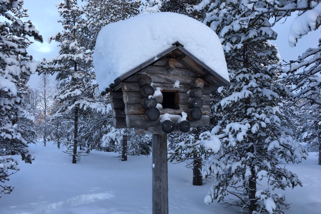 The Great Arctic&nbsp;Adventure