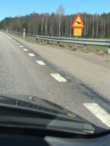 D26D7D5D-9762-41EB-ADE6-4152F76E5E4E