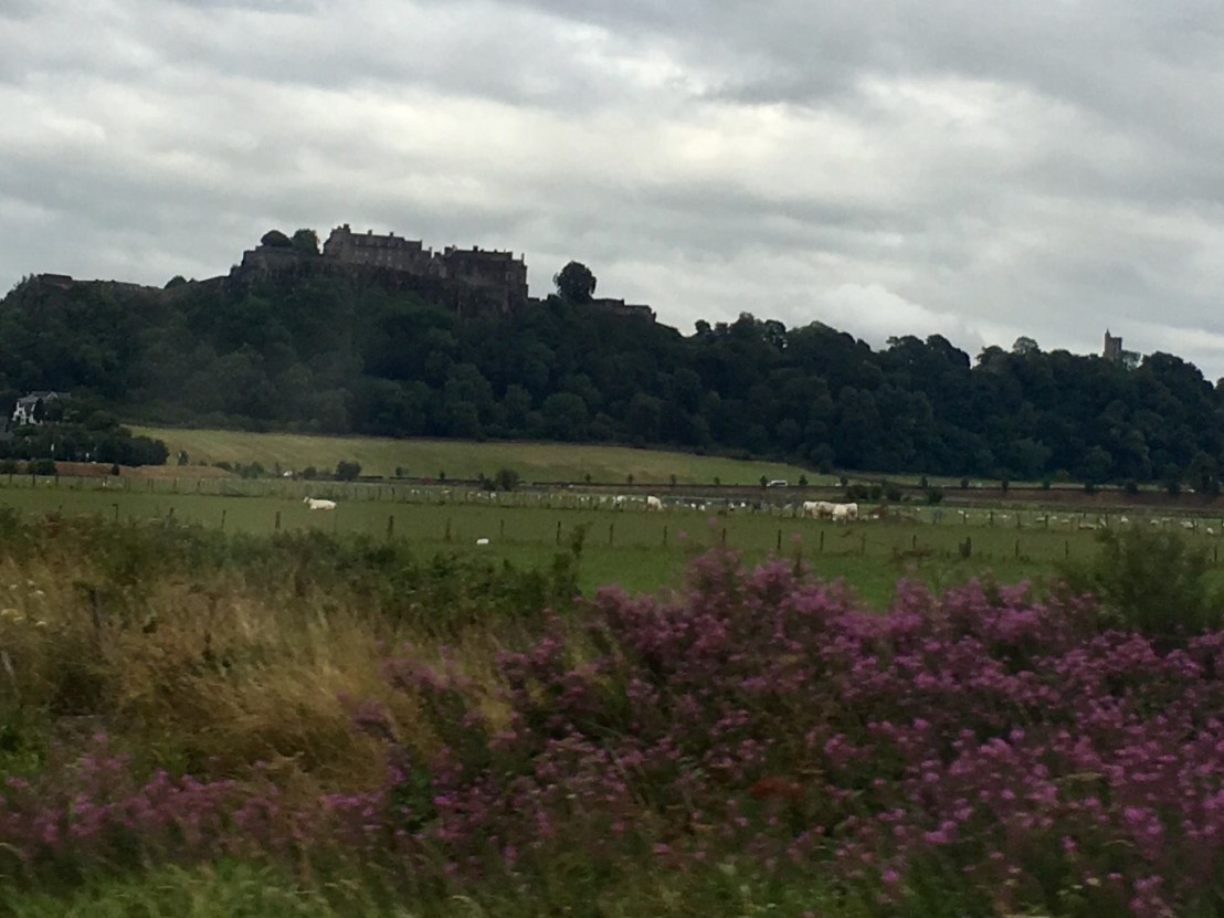 59730863-85B9-4B00-ABF5-04DAFE2FB73B