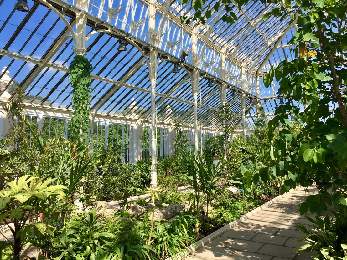 63D9CDFB-A4A7-47A2-A340-CD221F810ADF