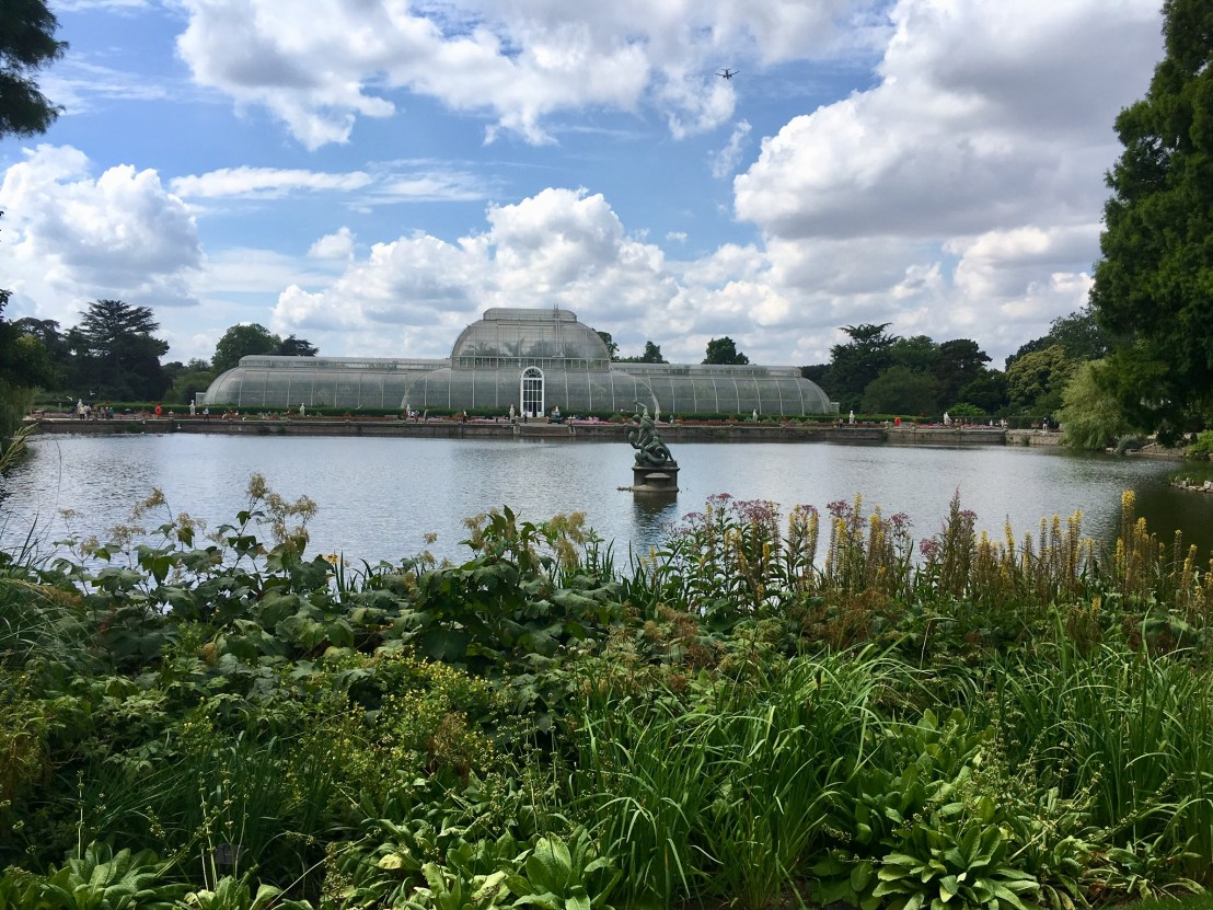 F0A41DF3-B886-4441-A529-06B9F19A7D74