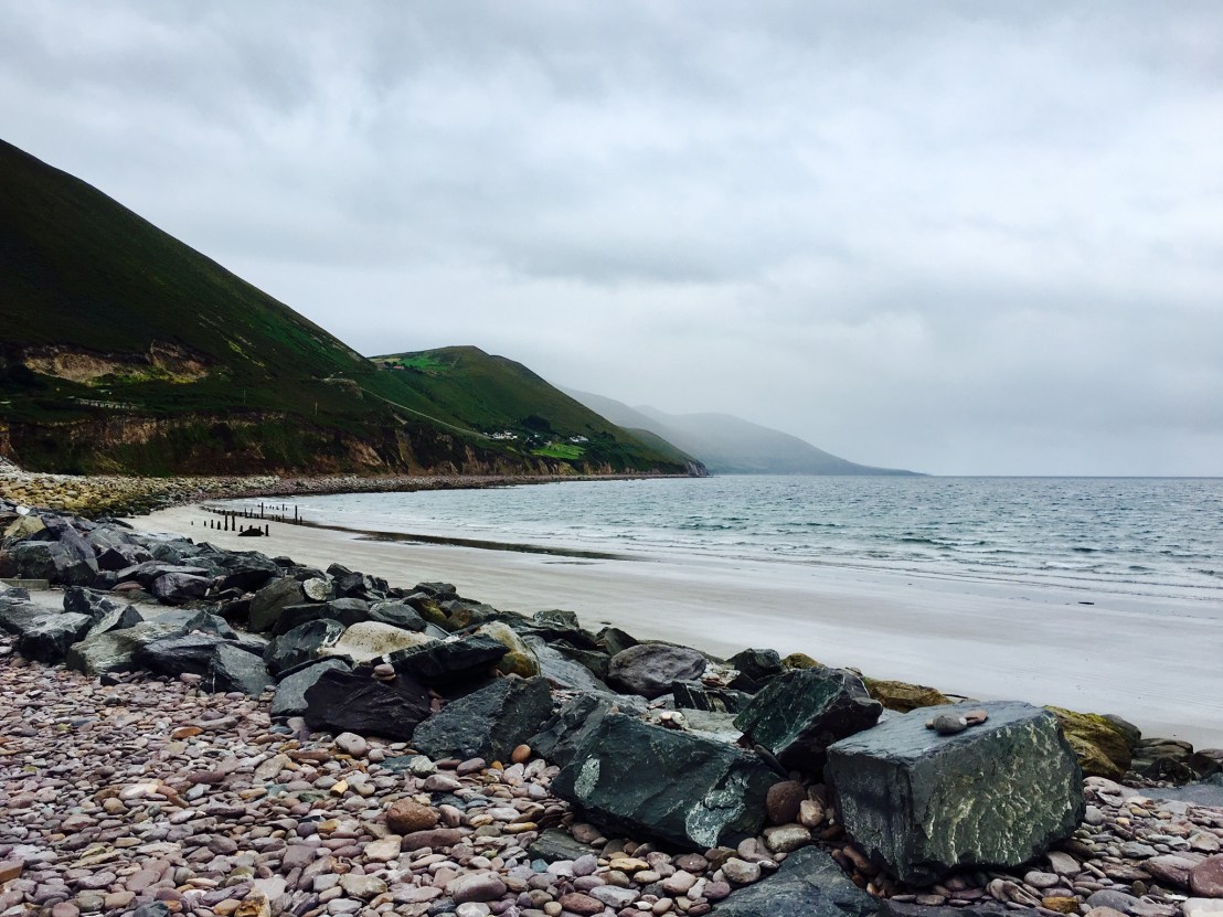 95CBBE03-577B-4785-95B9-69E6E1F72E76