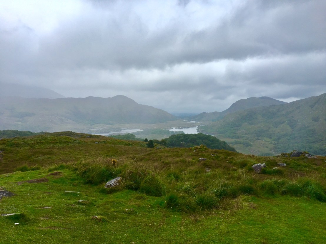 C5FF8388-E3AA-4FE9-9E15-E66B87CB9670