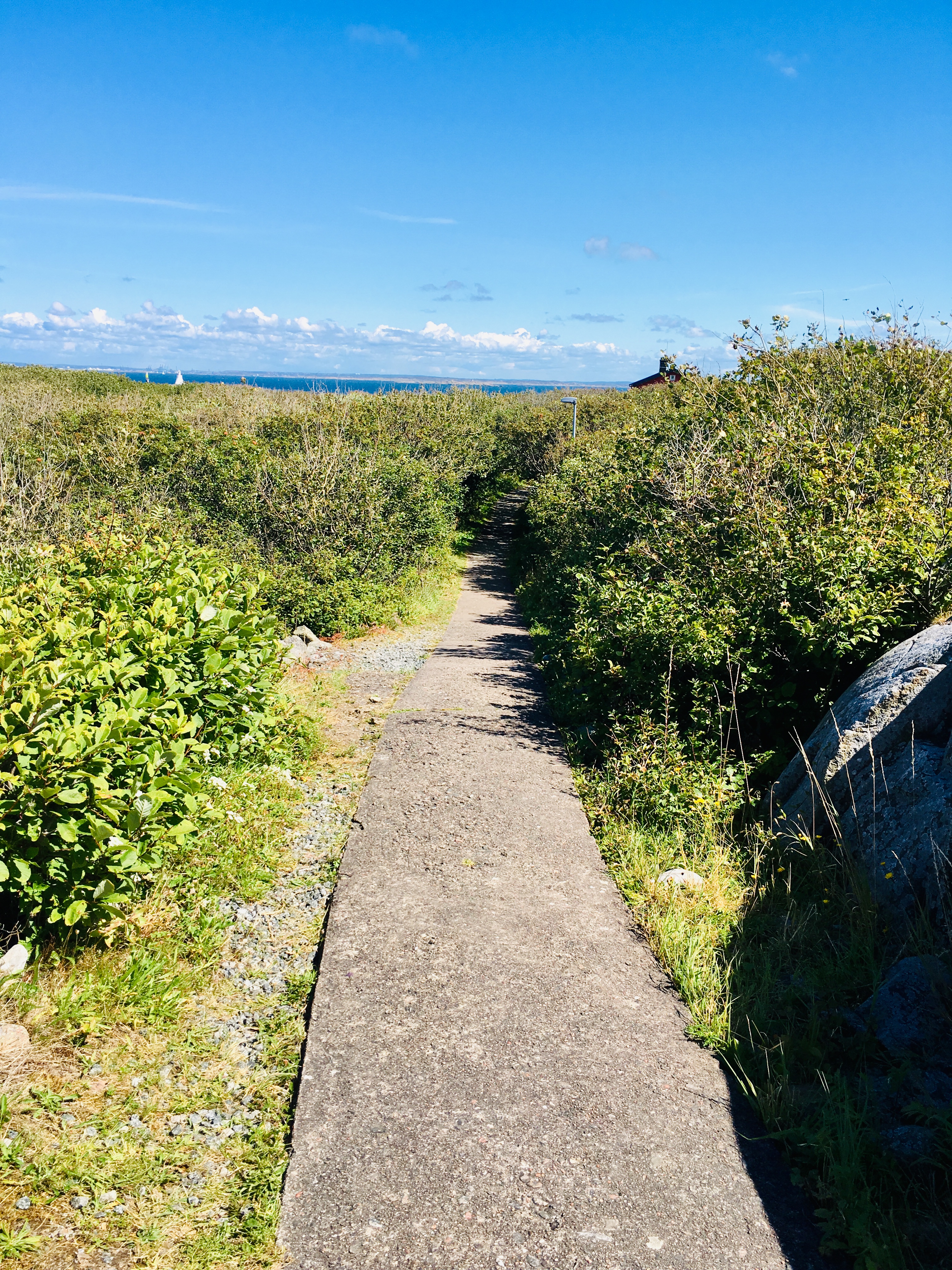 90C44EFA-788F-4DC4-A66A-DC6277E114E8